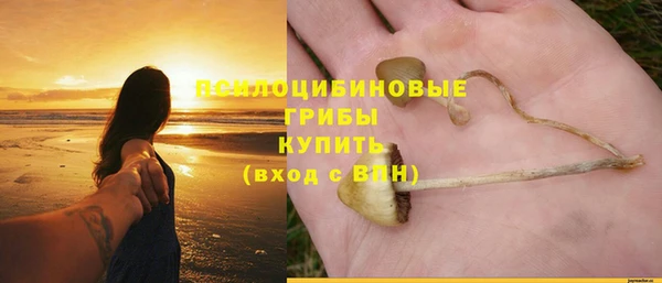 не бодяженный Баксан