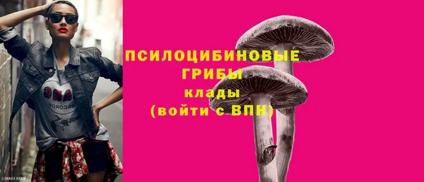 PSILOCYBIN Строитель