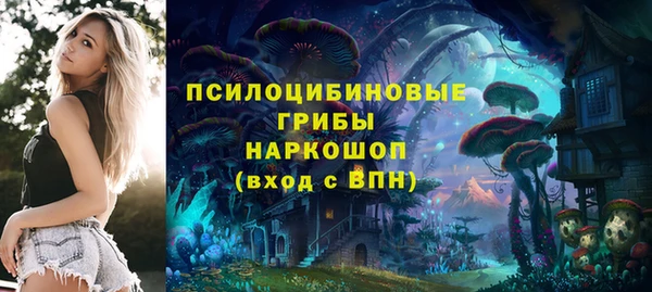 альфа пвп Белокуриха